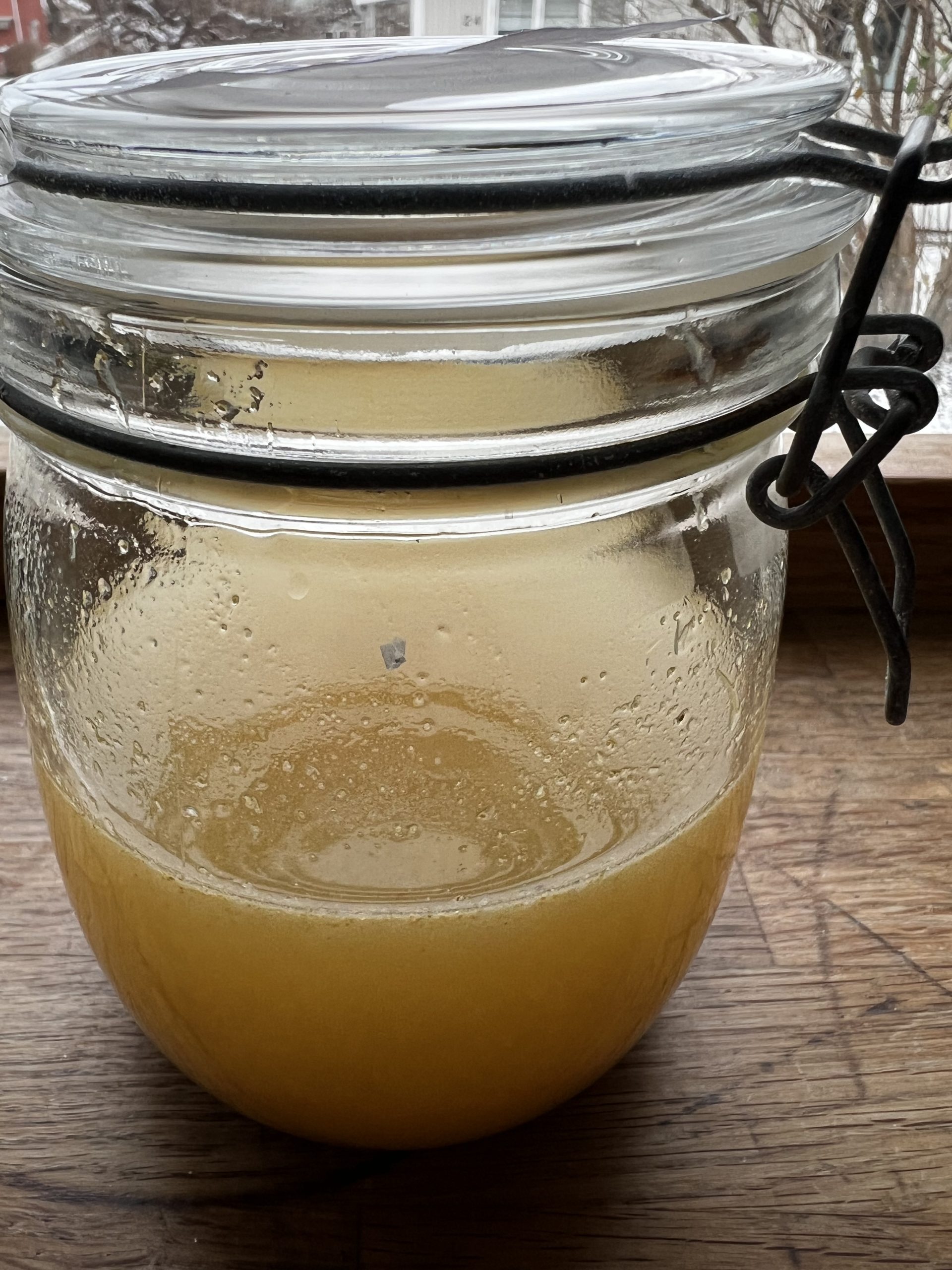 ready for feeding, the ginger beer plant