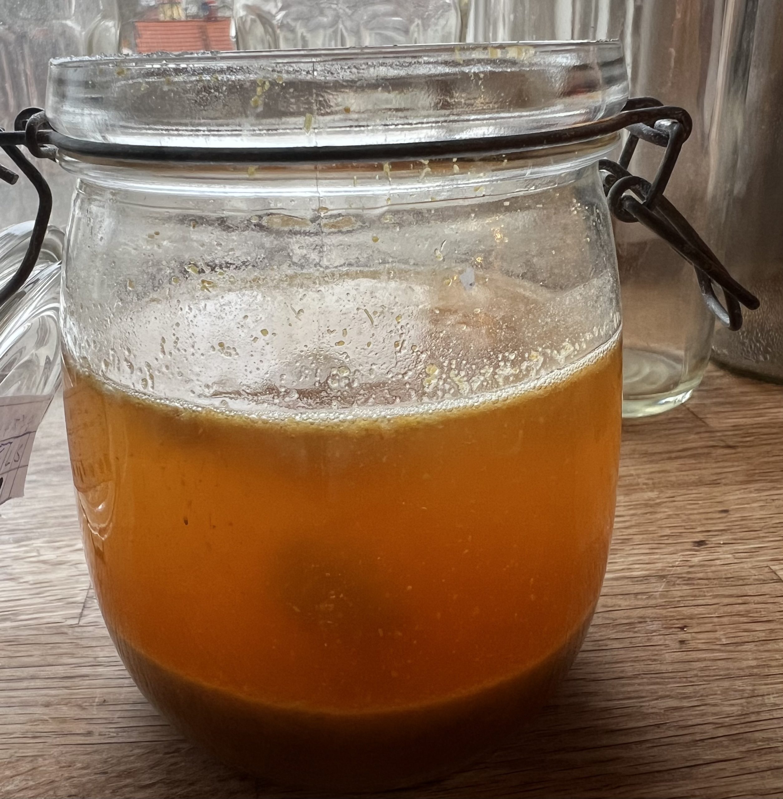 Ginger beer plant, after feeding