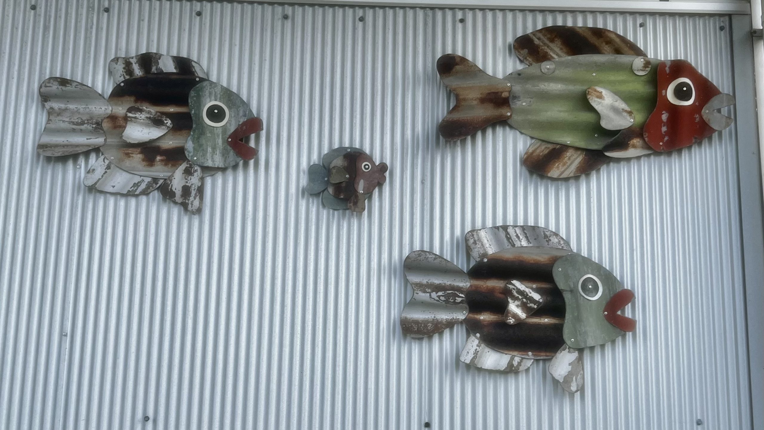corugated fish