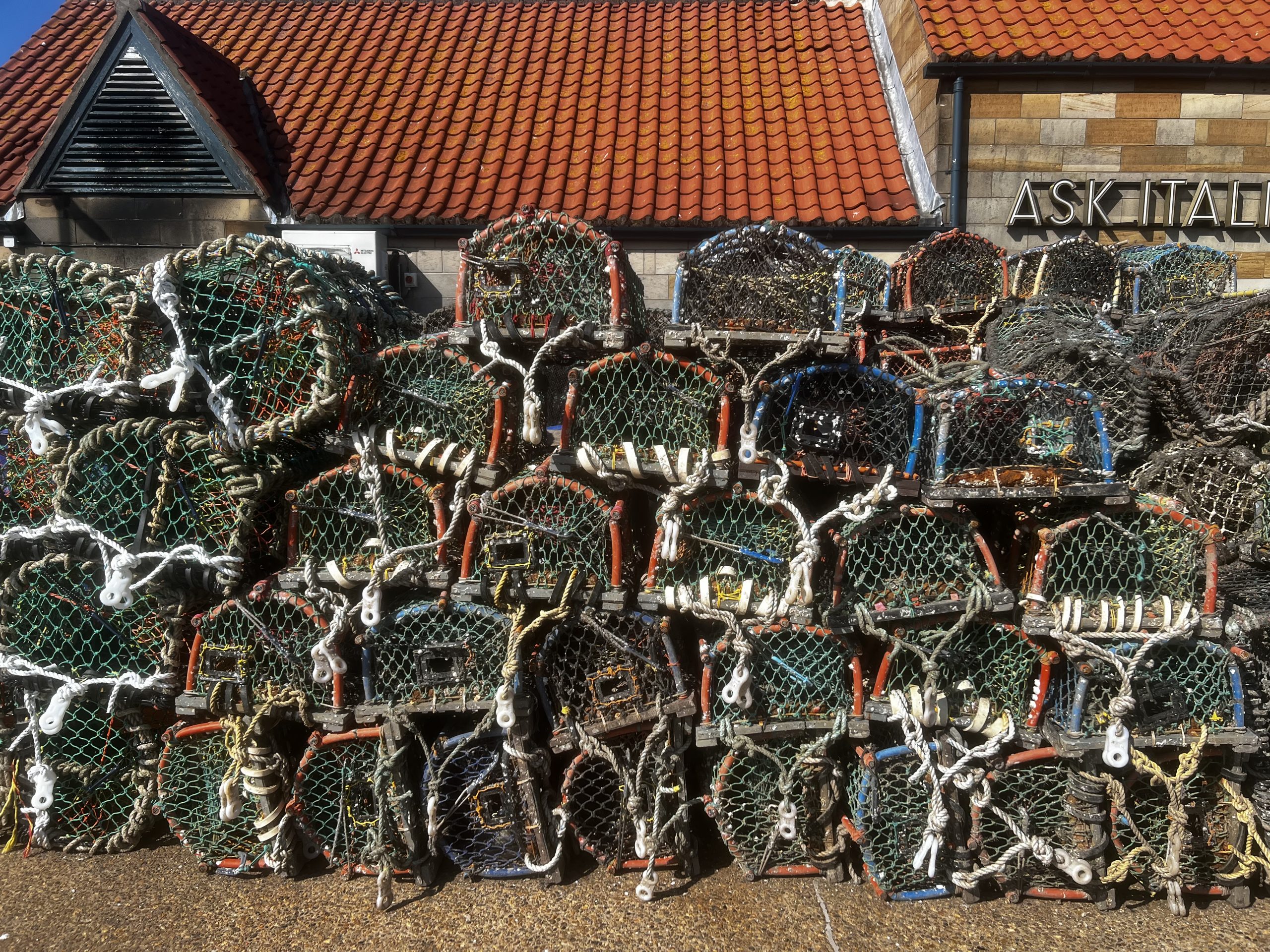 Lobster season starts soon, ready and waiting.