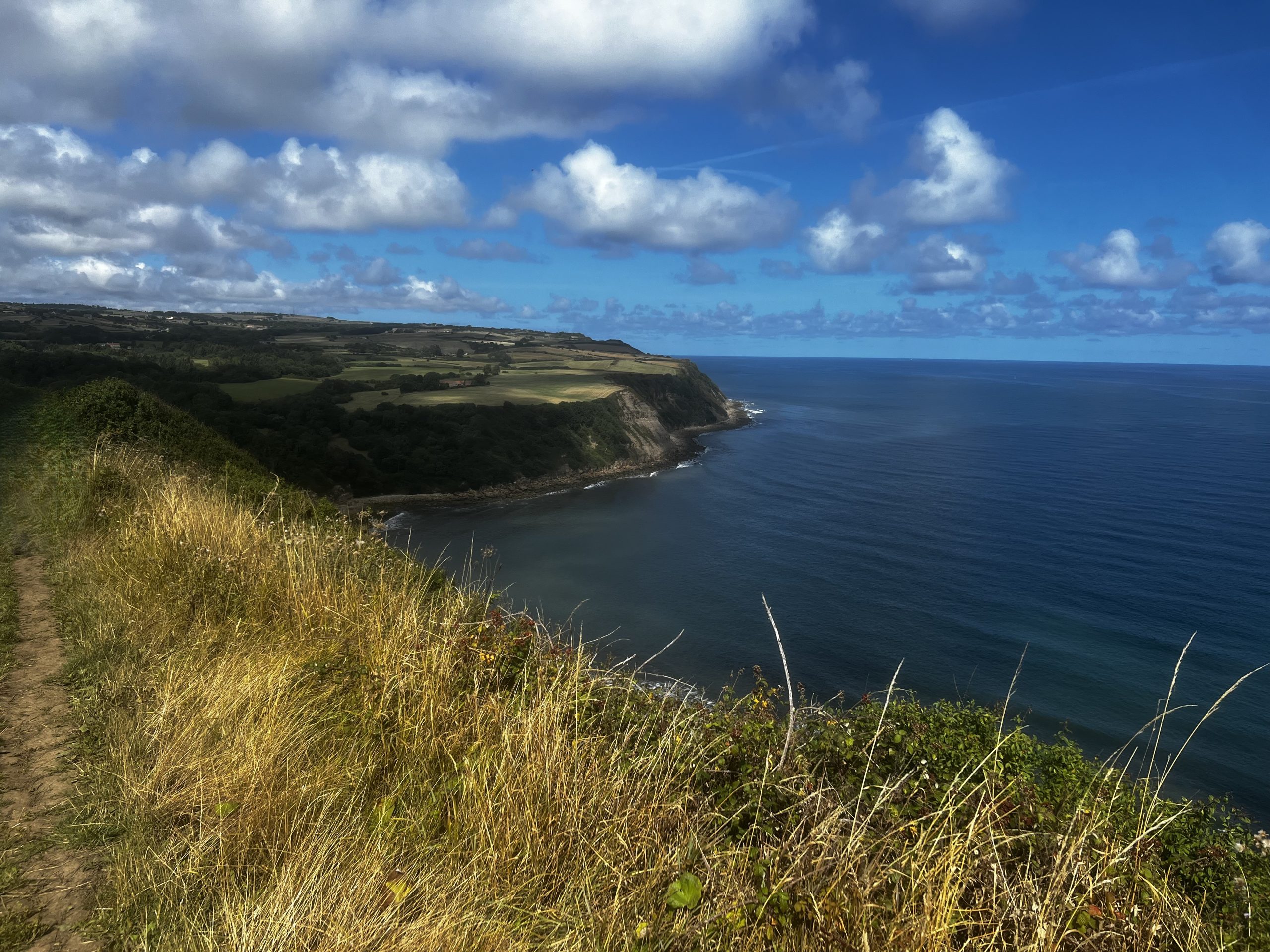 looking forward on the y Yorcshire cliffs